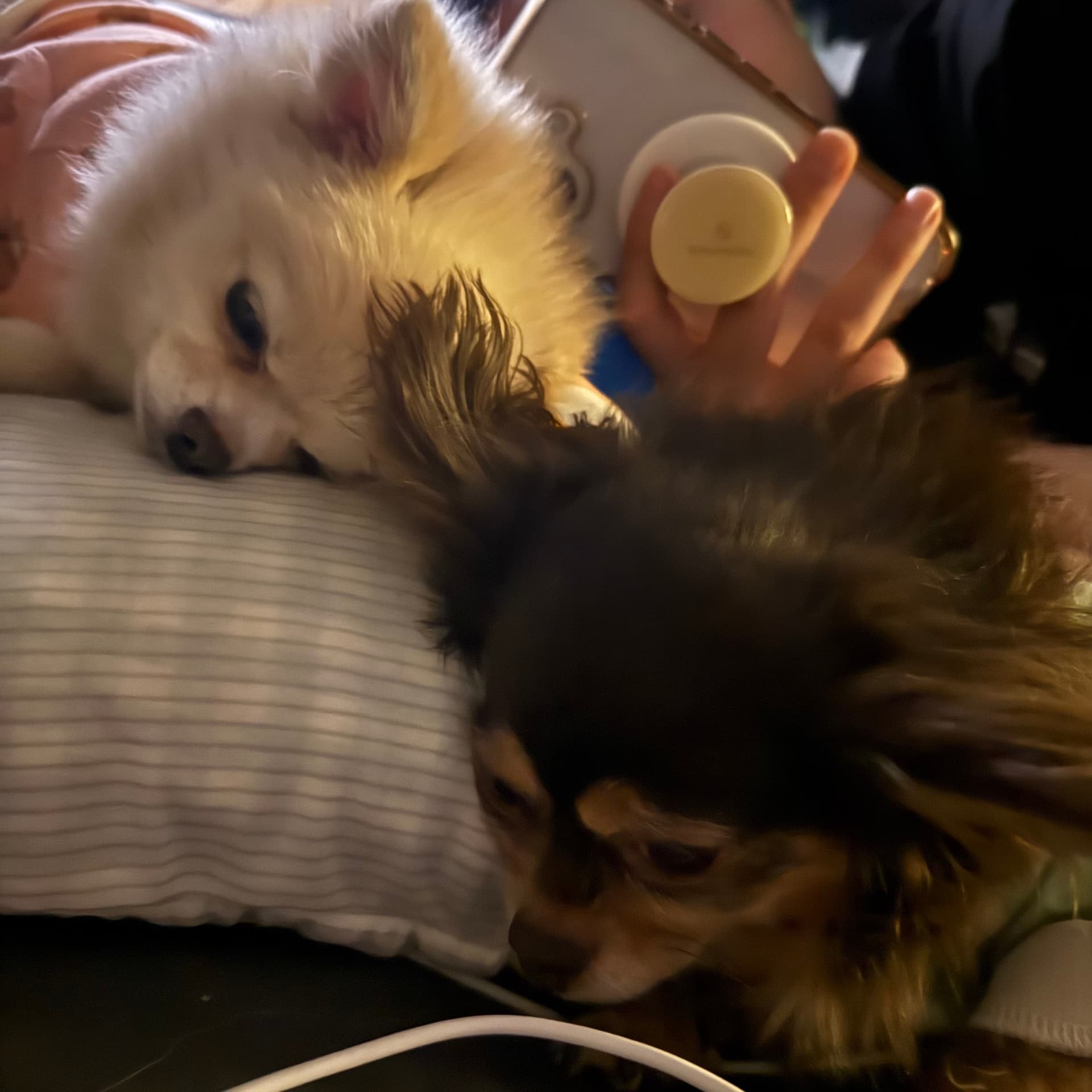 오은진의 블로그